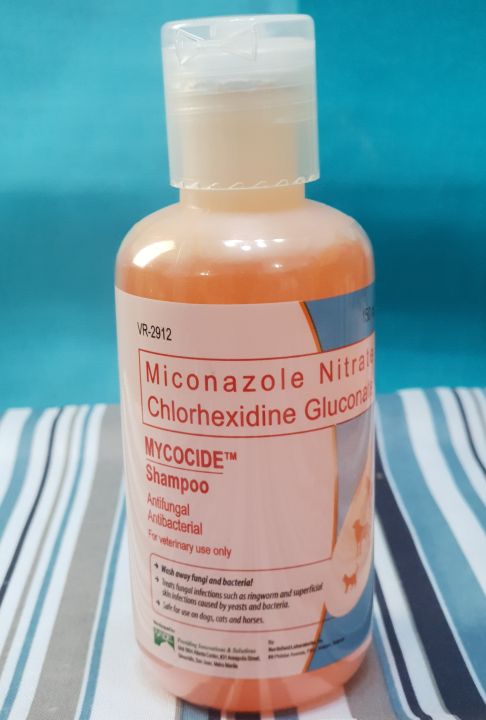 Miconazole nitrate store shampoo for dogs