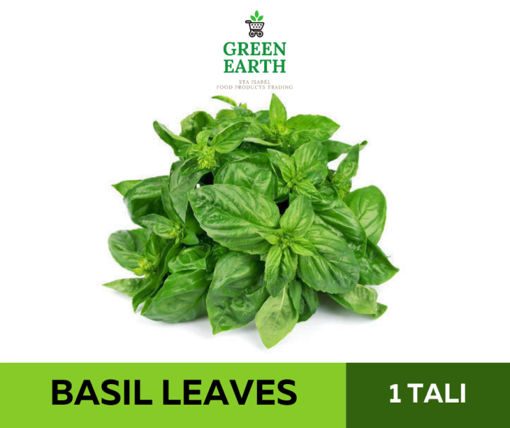 GREEN EARTH FRESH BASIL LEAVES 1 BUNDLE Approx. 100g Lazada PH