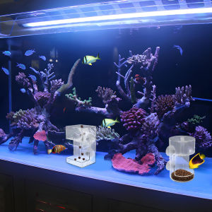 [HUSTOM] COD หลอดอะคริลิกใส่อาหารปลาที่ใส่อาหารปลาพร้อมถ้วยดูดสำหรับ2025ตู้ปลาใหม่