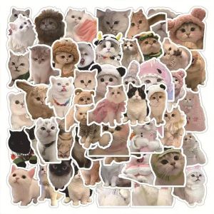 60Pcs Sticker Pack Meme Kucing Aesthetic Paper Vinyl Waterproof Dekorasi Stiker Laptop Buku Journal Koper / Stiker Laptop HP Aesthetic Paper Vinyl Waterproof untuk Sticker Buku Jurnal Koper Casing HP Tumbler Cut Sticker Vinyl A3+ Cute Sticker Pack