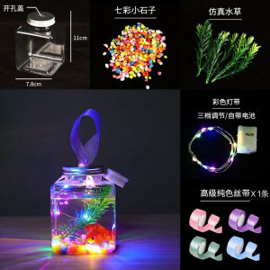 Popular Small Fish Tank FREE Light Colored Stone Water Grass And Ribbon