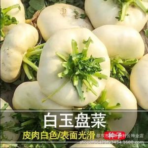 Wenzhou specialty: white jade pickled mustard greens pickled vegetables and vegetables from the rural countryside