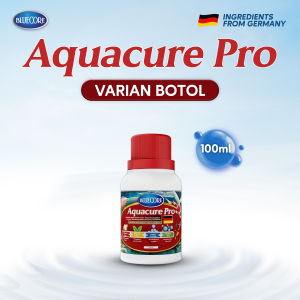 BlueCore AquaCure-Pro Antimikroba Alami Ikan dengan Double Action Formula (Extra Herbs) untuk menyembukan bakteri dan Virus Perawatan ikan dari jamur (Cocok untuk: Gurame Lele Nila Patin channa Cupang guppy dan Koi)