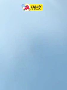 SG stock Fast Shipping PICKLEBALL SET 2 PICKLE BALL BATS 4 BALLS WITH CARRY BAG pickleball pickleball paddle 28659775063