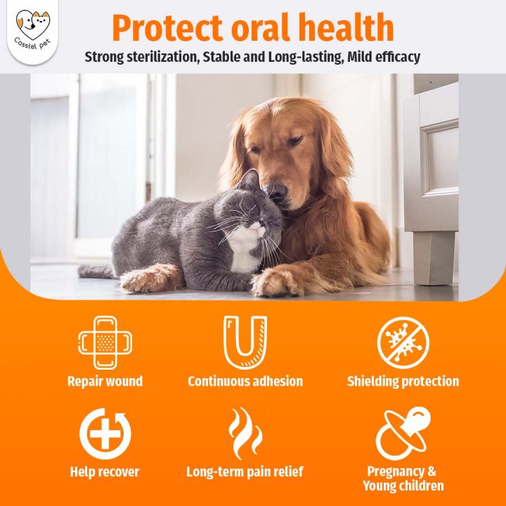 Cassiel%20Pet%20Oral%20Spray%20Dog%20Oral%20Care%20Bad%20Breath%20Teeth%20Cleaning%20Breath%20Freshener%20Plaque%20Remover%2030ml%20-%20Image%203