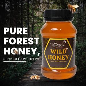 Blairy Wild Honey 330g | 400g - Natural Organic Sweet Sugar Free Flavor Honeybee Pure Honey