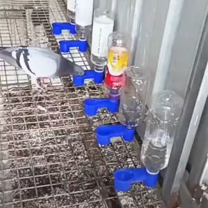 10PCS Bird Drinker Feeder Water Bottle Cup/Pet Bird Plastic Waterer Special Drinking Tool.
