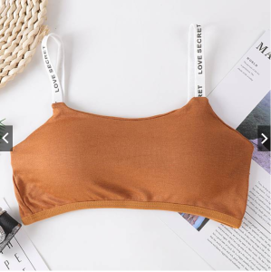 [SG STOCK] Women Teenagers Bralette Wireless Padding Bra With Three Hooks No Underwire Bra