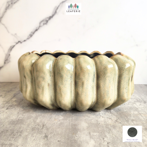 The Leaferie Sable shallow wide plant pots Ceramic flowerpot flowerpots flower pot planter planters