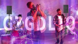 LZD Speaker Stand: Height Adjustable Lightweight Speaker Stands & Storage Bag