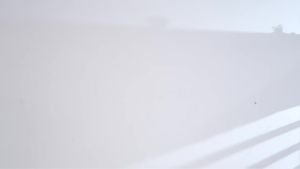 Túi Kelly vân da lòng bàn tay nữ 2026 Mẫu mới Xuân Hè chất liệu cao cấpTúi xách tay túi đeo vai túi đeo chéo nhỏ