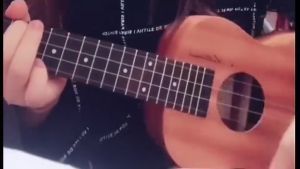 Ukulele String Four-string Ukuleles Nylon Strings Musical Instruments &Equipment Guitar Accessories