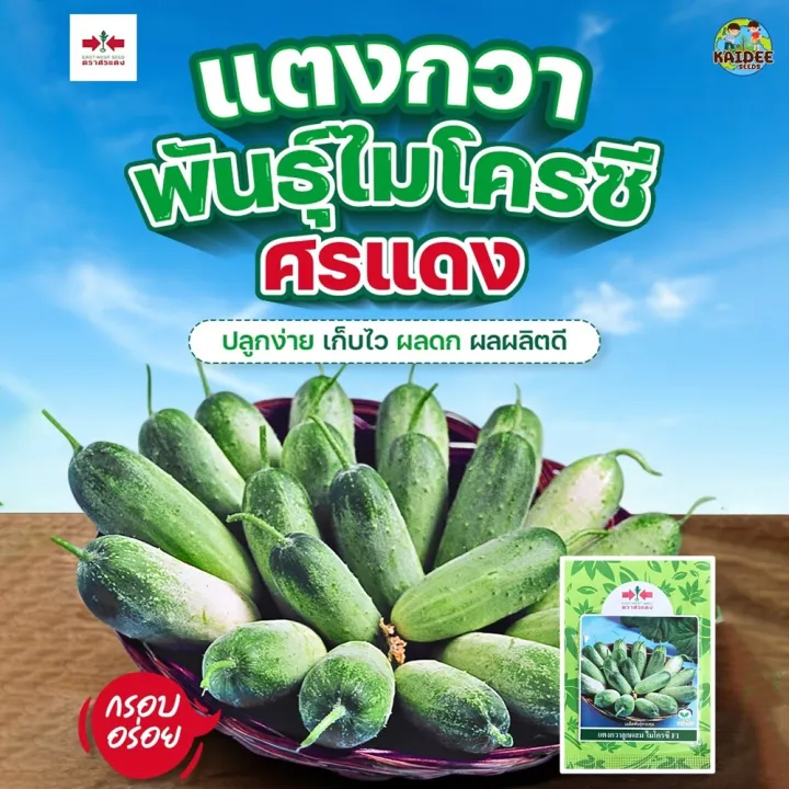 เมล็ดแตงกวา ไมโครซี ศรแดง ปลูกได้ทุกฤดู