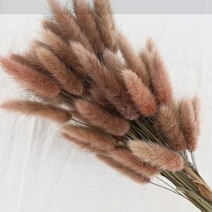 Natural Dried Bunny Rabbit Tail Grass Preserved Eternal Flowers Lagurus Ovatus Wedding Home Office Decor Floral Arrangement