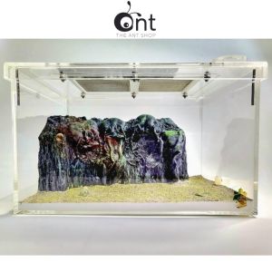 Mount Rushmore Of The Ant World Formicarium                                                                                                                                           - Ant Farm Ant Cages Ant Formicarium Empire of Ants The Ant Shop Ant Nest