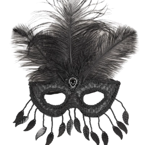 Elegant Feather Embroidered Plastic Eye Mask Cosplay Eye Mask Fashion Accessory Comfortable Evening Party Wear