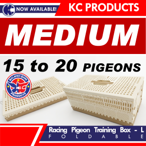 Racing Pigeon Foldable Cage(Training Box