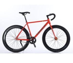 Xe đạp thể thao Fixed Camelo khung thép đúc