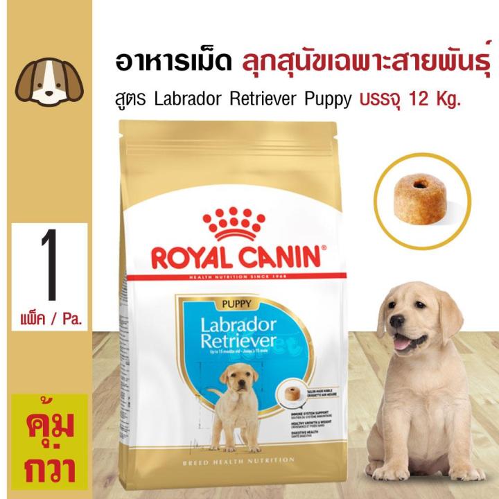 Royal canin best sale labrador puppy 12kg