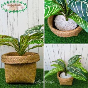 Tanaman Hias Daun Aglonema Romeo X12 Semi Latex Artificial Pot Dasar Cover Purun Tanaman Dekorasi Rumah Pajangan Ruang Tamu