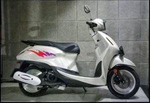 Striping Grand Filano-Stiker Decal Filano Simpel Retro (SUDAH TERPOTONG)