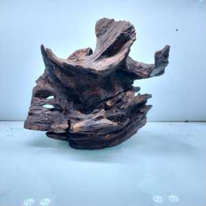 AKAR/KAYU ROSE WOOD BiotopeHardscapeAquascape Reptile reptil karakter unik S-M-L-XL