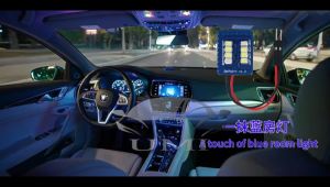 Car Interior LED Light 12V 2835 8SMD Dual Colors Room Light T10 C5W Car Roof Light Accessories Lampu Dalam Kereta