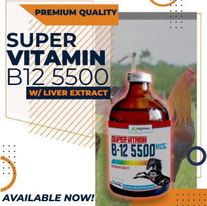 SUPER VITAMIN B12 5500MCG Vitamin b12 + B12 for Roosters Gamefowl Pigeons etc. Condition ng manok