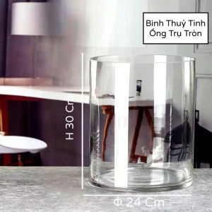 Bình Thủy Tinh Trụ Tròn Dùng Làm Hồ Cá Bể Cá Để Bàn D24 x H30 cm Tặng Kèm Mô Hình Rong Giả Và Sỏi Trang Trí