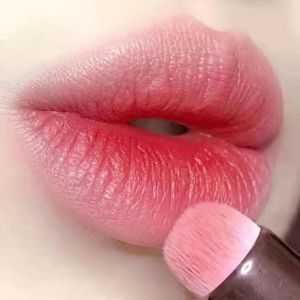 DORISNA แปรงทาปากหัวกลม Misty Biting Lip Makeup Tool แปรงคอนซีลเลอร์ Beauty Cosmetic Natural Blending Brush