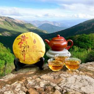 ชาผู่เออร์ หวงจิน ปันจาง 黄金班章 ชาสุก (熟茶) 净含量(100克)