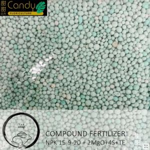 (SG Seller) Compound Fertilizer NPK 15+9+20+2MgO+4S+TE USAGI