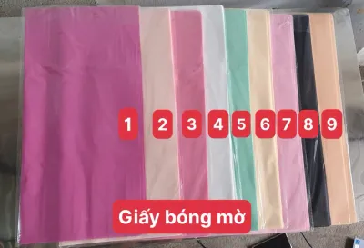 20 Tờ Giấy Gói Hoa 1 Mặt Bóng Mờ Hàn Quốc Đẹp Giấy Gói Hoa Trơn 1 Màu Không Thấm Nước Gói Hoa Quà