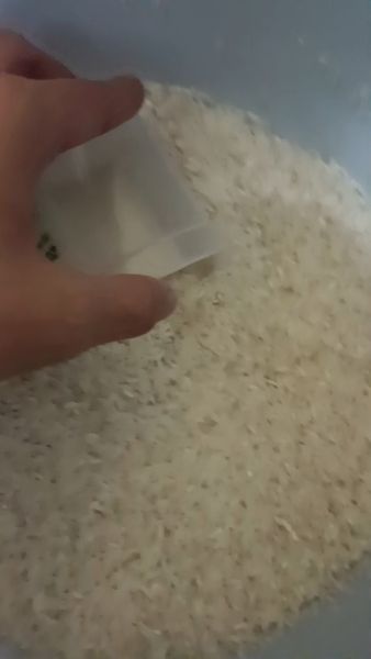 Buyer review video 2
