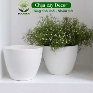 Chậu trồng cây để bàn DOCNEEM cho hoa cây cảnh ban công bonsai cao cấp nhập khẩu