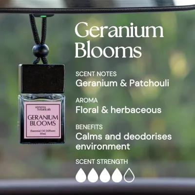 Car Air Freshener Aroma | 100% Natural Essential Oils | Perfume Hanging Diffuser | Verterra | Christmas Gifts