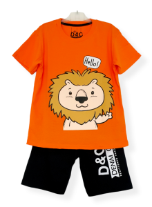 Setelan anak laki laki motif Singa Hello Size 2-10 Tahun / baju anak / baju murah / COD