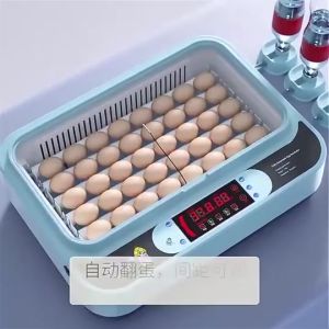 Fully automatic incubator12/24/36/64 64/36/24 Egg Incubator Fully Automatic Egg Incubator Intelligent Digital Hatcher Brooder with temperature 220V/12V intelligent digital incubator