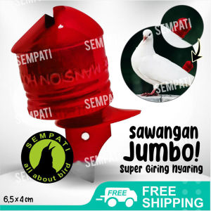 SEMPATI Sawangan Jumbo Mansion Sawangan Merpati Hatong Hotang Pluit Peluit Sempritan Latih Burung Merpati Balap Dara Pos Bunyi Nyaring SMNSN