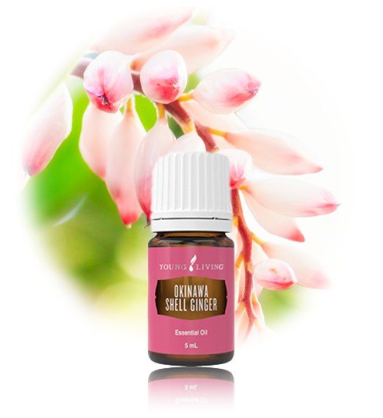 YOUNG LIVING YL Okinawa Shell Ginger Essential Oil 5ml - Lazada