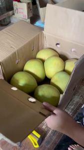 Davao Pomelo / Suha / Davao Durian Jam / Davao Suha