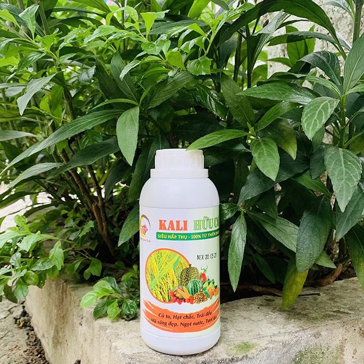 Ph%C3%A2n%20b%C3%B3n%20KALI%20H%E1%BB%AEU%20C%C6%A0%20si%C3%AAu%20%C4%91%E1%BA%ADm%20%C4%91%E1%BA%B7c.%20C%E1%BB%A7%20to,%20h%E1%BA%A1t%20ch%E1%BA%AFc.%20Tr%C3%A1i%20to%20tr%C3%B2n%20m%E1%BB%8Dng%20n%C6%B0%E1%BB%9Bc.%20Hoa%20t%C6%B0%C6%A1i%20s%E1%BA%AFc,%20b%E1%BB%81n%20l%C3%A2u.%20Ch%E1%BB%91ng%20r%E1%BB%A5ng%20hoa%20r%E1%BB%A5ng%20tr%C3%A1i%20non.%20%E1%BB%A8c%20ch%E1%BA%BF%20s%C3%A2u%20b%E1%BB%87nh%20h%E1%BA%A1i.%20Chi%E1%BA%BFt%20xu%E1%BA%A5t%20100%25%20t%E1%BB%AB%20Thi%C3%AAn%20Nhi%C3%AAn%20-%20Image%207