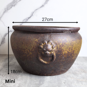 The Leaferie Lorelei Big Flowerpot fish bowl flowerpots flower pot plant pots planter planters