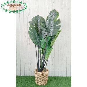 Pohon Artificial Monstera T120 Latex Cover Rotan Bulat Small Hiasan Ruang Tamu