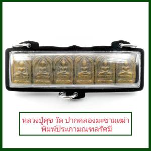 จี้ จี้พระ หลวงปู่ศุข วัดปากคลองมะขามเฒ่า พิมพ์ประภามณฑลรัศมี เนื้อทองเหลือง เลี่ยมกรอบพลาสติกกันน้ําอย่างดี ห้อยพระได้1องค์