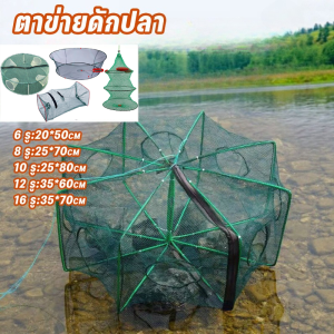 【Lifefree】New ที่ดักกุ้งฝอย ตาข่ายดักปลา กระชังจับกุ้ง พับเก็บได้ มุ้งดักกุ้ง 6/8/10/12/16/20/24 ช่อง