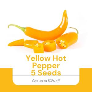 Yellow Hot Chili 5 Seeds Outdoor Vegetable Pot Plant