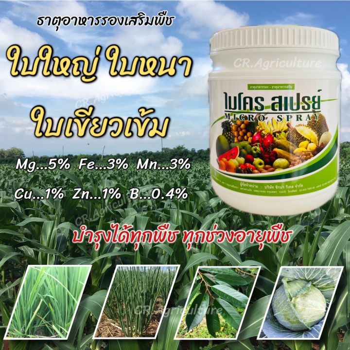 ธาตุอาหารรอง-เสริม ไมโคร สเปรย์ บำรุงใบเขียวหนา