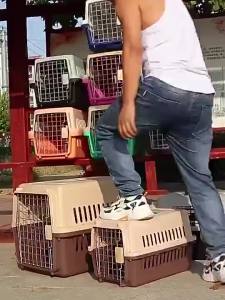 Portable M&L Size  Cat Carrier Travel Cage Puppy Kuting Airline Approved Travel Crate shih tzu