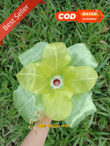 KELOPAK BUNGA DEKORASI/CUP BUNGA LAMPU DEKORASI PELAMINAN MODEL JAGUNG